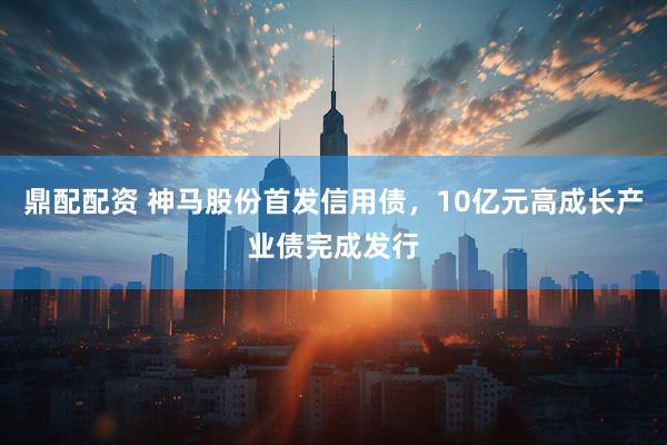 鼎配配资 神马股份首发信用债，10亿元高成长产业债完成发行