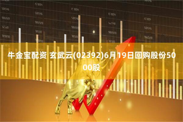 牛金宝配资 玄武云(02392)6月19日回购股份5000股