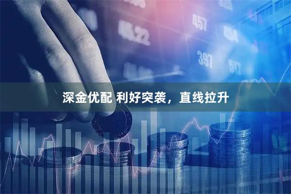 深金优配 利好突袭，直线拉升