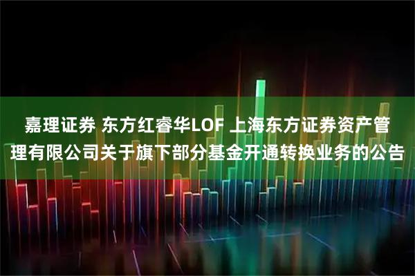 嘉理证券 东方红睿华LOF 上海东方证券资产管理有限公司关于旗下部分基金开通转换业务的公告