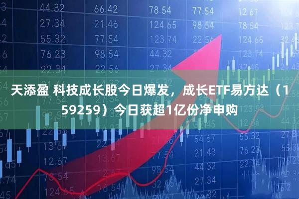 天添盈 科技成长股今日爆发，成长ETF易方达（159259）今日获超1亿份净申购
